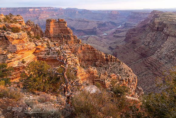 Grand Canyon Arizona