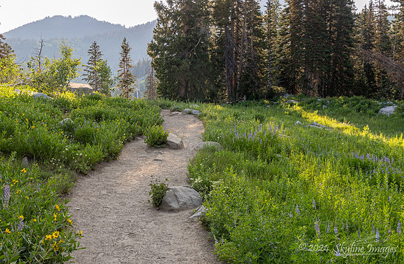 Uinta-Wasatch-Cache National Forest Utah