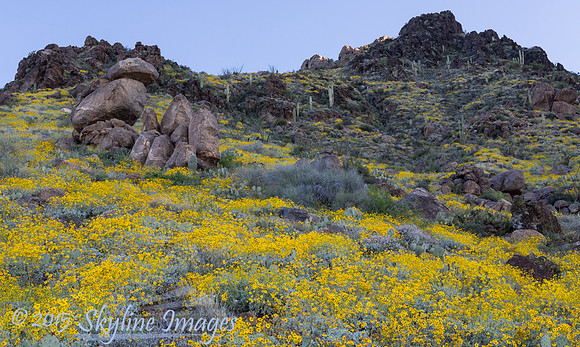 Yarnell Hill AZ