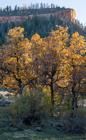 Bears Ears National Monument Utah