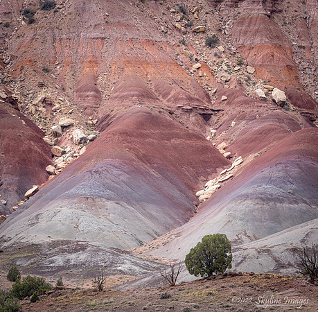 Grand Staircase Escalante National Monument Utah