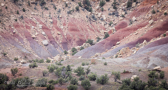 Grand Staircase Escalante National Monument Utah