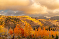 Fishlake National Forest Utah