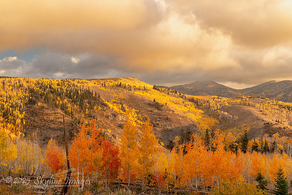 Fishlake National Forest Utah