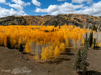 Fishlake National Forest Utah