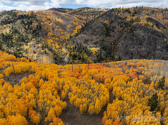 Fishlake National Forest Utah