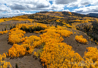 Fishlake National Forest Utah