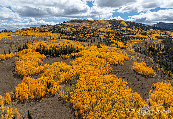 Fishlake National Forest Utah