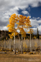 Fishlake National Forest Utah