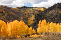 Fishlake National Forest Utah
