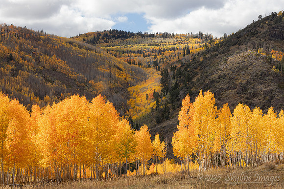 Fishlake National Forest Utah