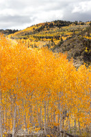 Fishlake National Forest Utah