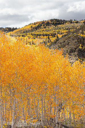 Fishlake National Forest Utah
