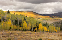 Fishlake National Forest Utah