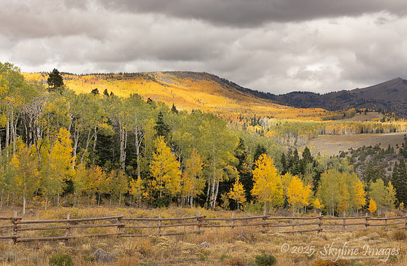 Fishlake National Forest Utah
