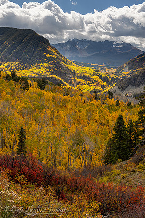 San Juan National forest Colorado
