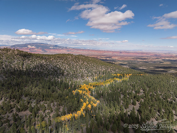 Dixie National Forest Utah