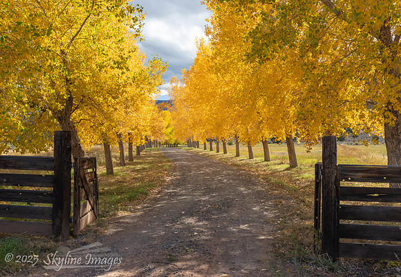 Teasdale Utah