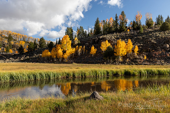 Fishlake National Forest Utah