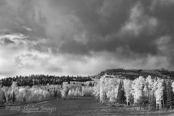 Fishlake National Forest Utah