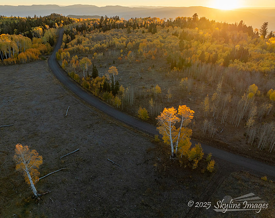 Fishlake National Forest Utah