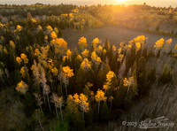 Fishlake National Forest Utah