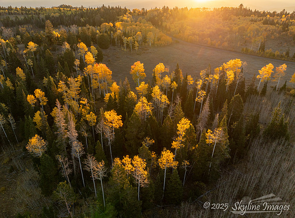 Fishlake National Forest Utah