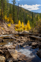 Wasatch National Forest Utah