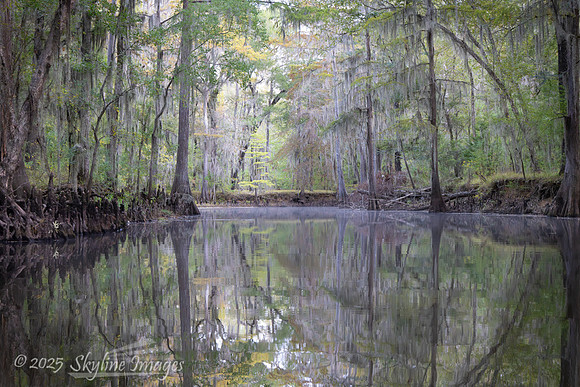 Caddo Lake Texas