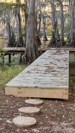Caddo Lake Texas