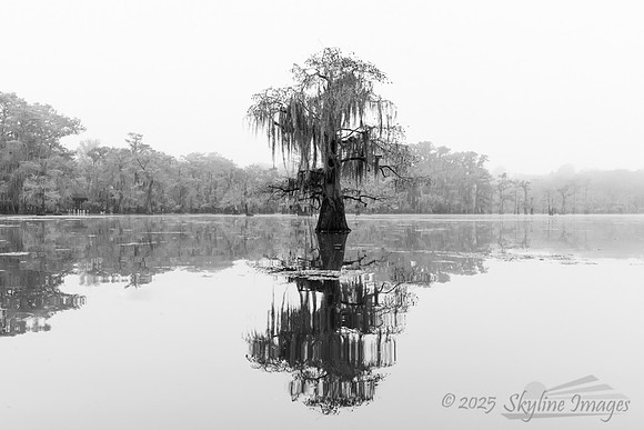 Caddo Lake Texas