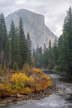 Yosemite National Park CA