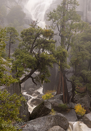 Yosemite National Park CA