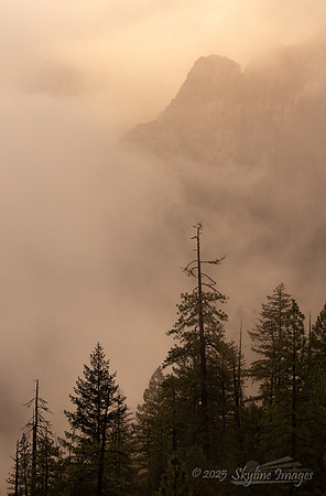 Yosemite National Park CA