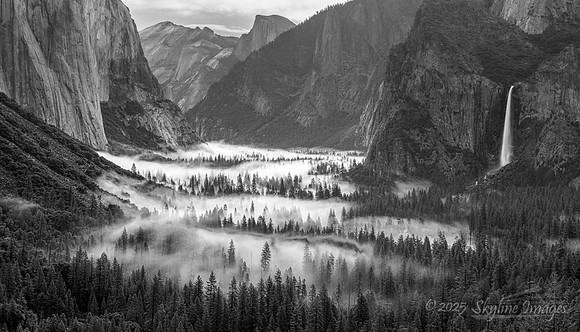 Yosemite National Park CA