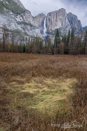 Yosemite National Park CA