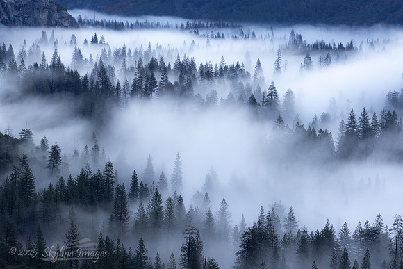 Yosemite National Park CA