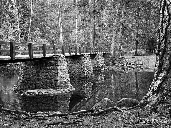 Yosemite National Park CA