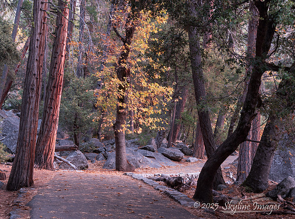 Yosemite National Park CA