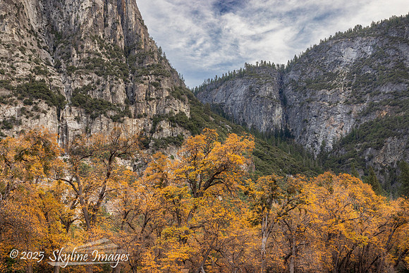 Yosemite National Park CA