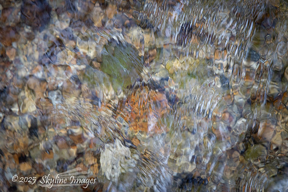 Yosemite National Park CA