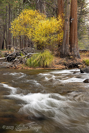 Yosemite National Park CA