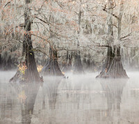 Caddo Lake, Texas