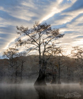 Caddo Lake, Texas