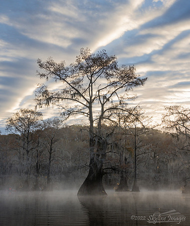 Caddo Lake, Texas