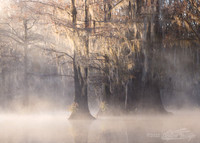 Caddo Lake, Texas