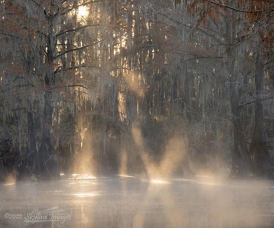 Caddo Lake, Texas