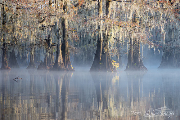 Caddo Lake, Texas