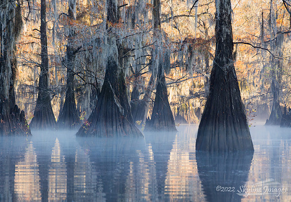 Caddo Lake, Texas