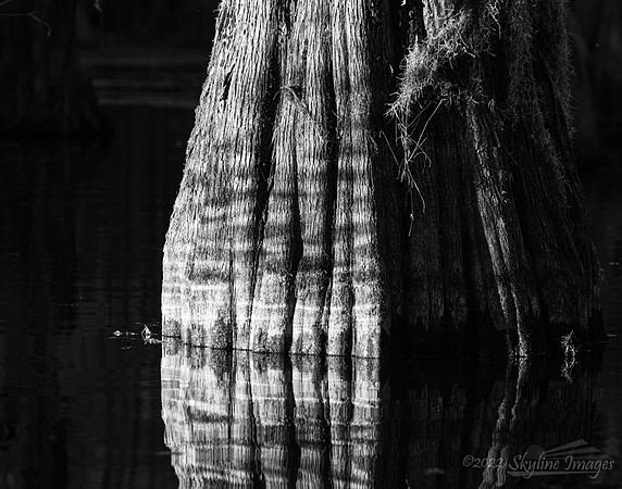 Caddo Lake, Texas